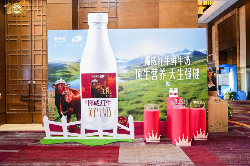 挪威红牛鲜牛奶